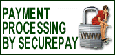 SecurePay.Com Lock Image